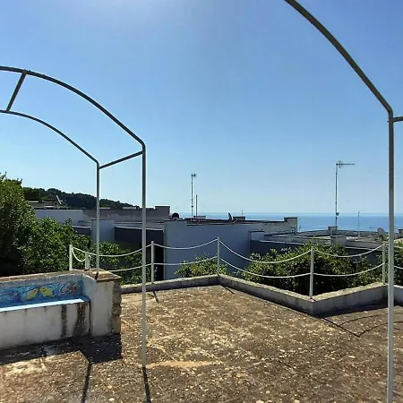Pajara Plenteda *