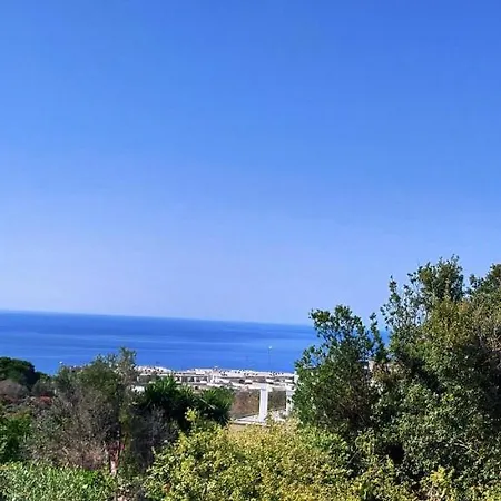 Pajara Plenteda *