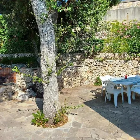 Hébergement de vacances Pajara Plenteda *