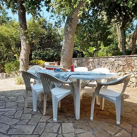 Hébergement de vacances Pajara Plenteda