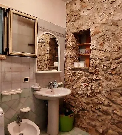 Pajara Plenteda *